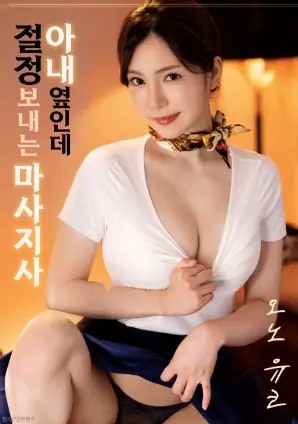 折光 1080P 视频下载 电影封面